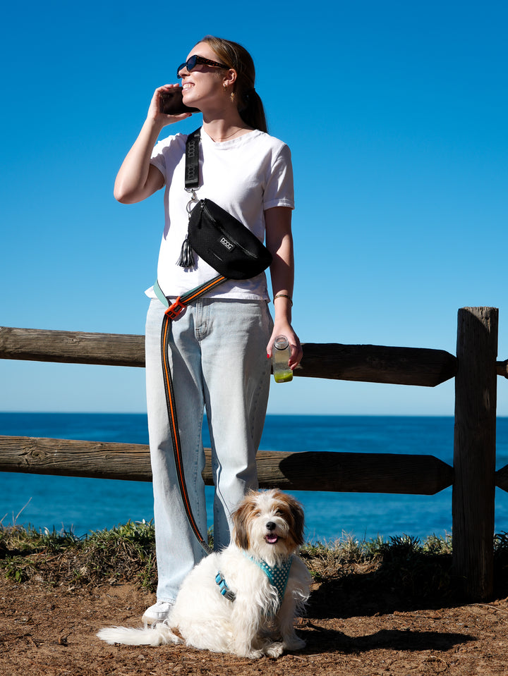 Clip-It Dog Leash