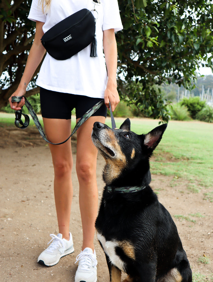Clip-It Dog Leash