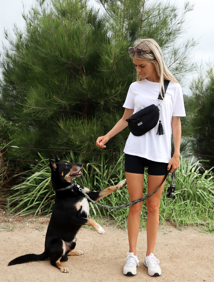 Clip-It Dog Leash