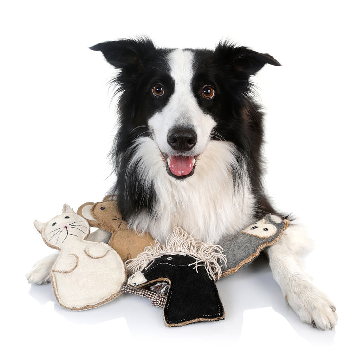 Country Tails Felt Animal Dog Toy