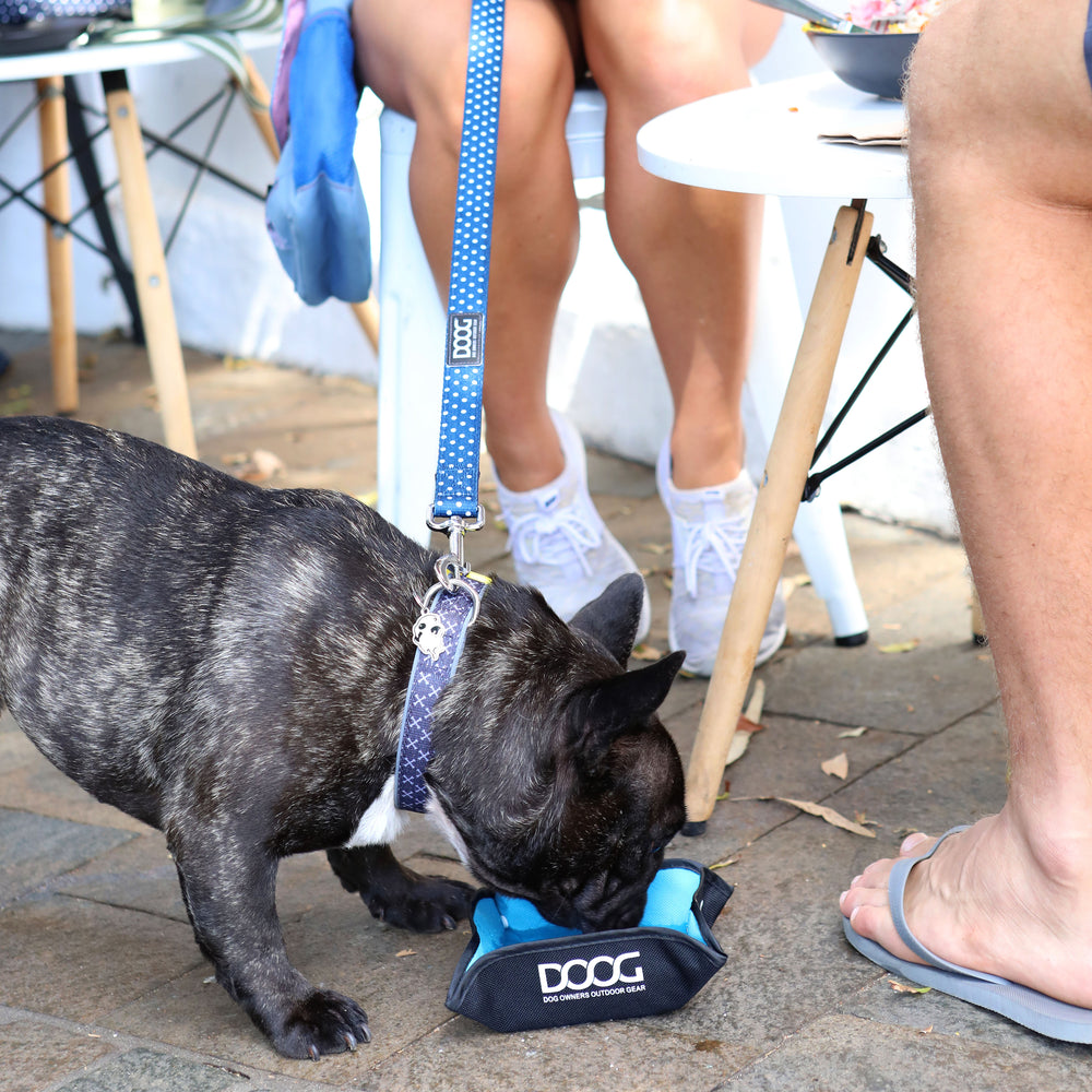 Neoprene Dog Collar