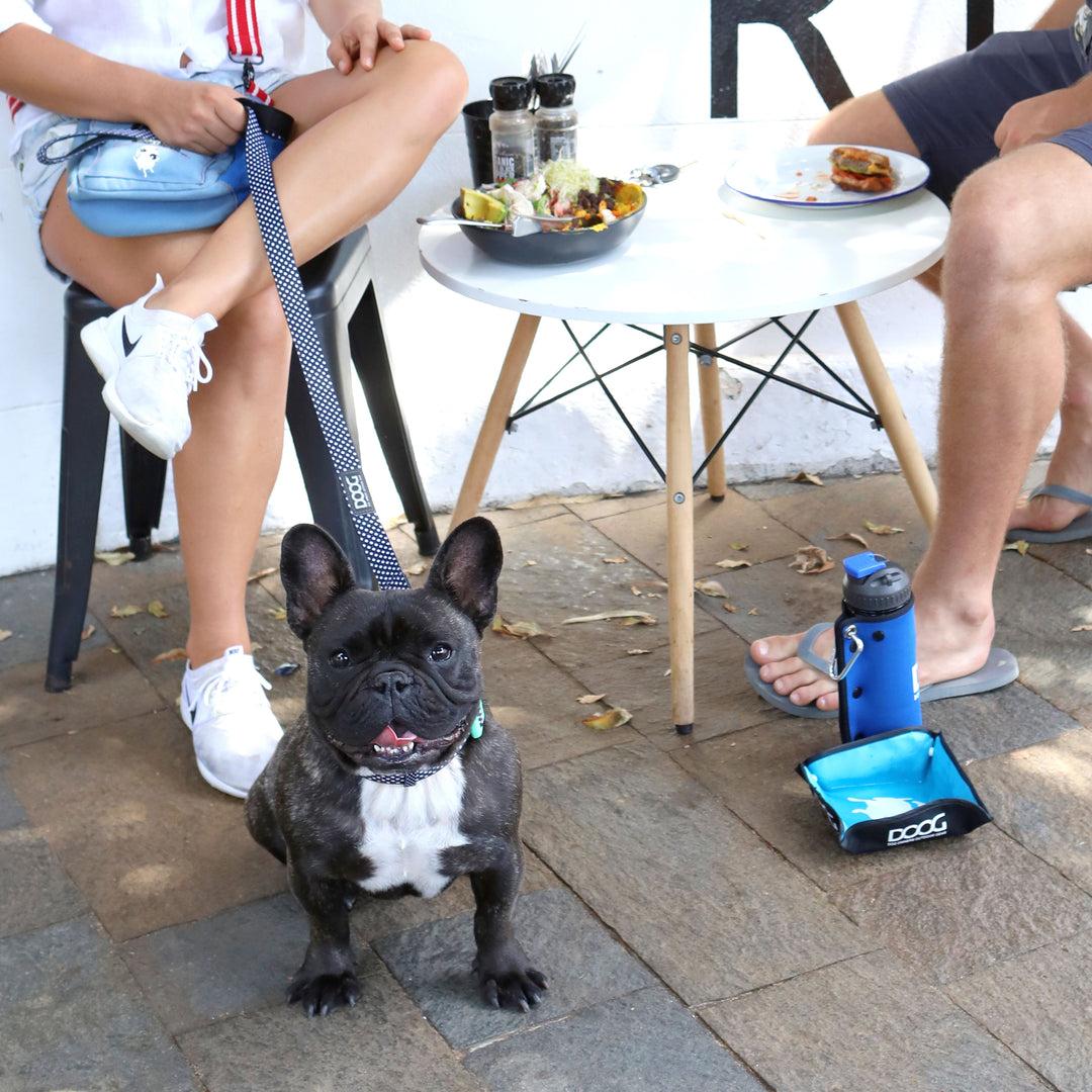 Neoprene Dog Leash