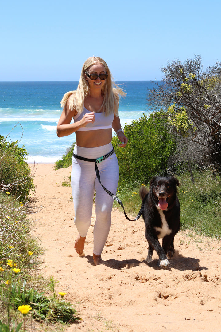 'Clip It' Neoprene Dog Lead - Pongo