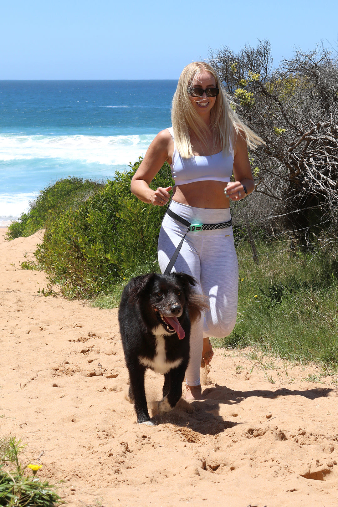 Clip-It Dog Leash
