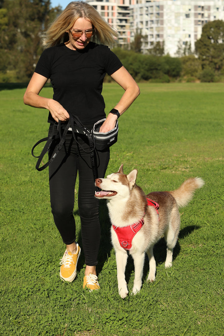 Good Dog Treat Pouch - Black (Large)