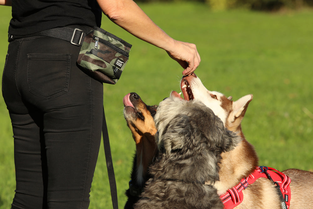 Good Dog Treat Pouch - Large