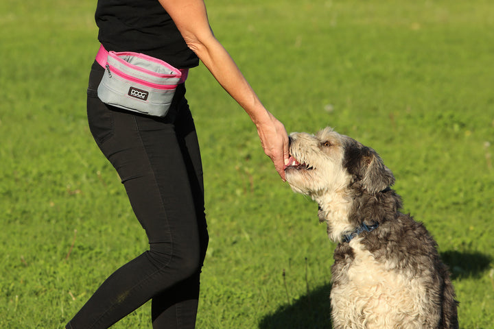 Good Dog Treat Pouch - Grey/Pink (Large)