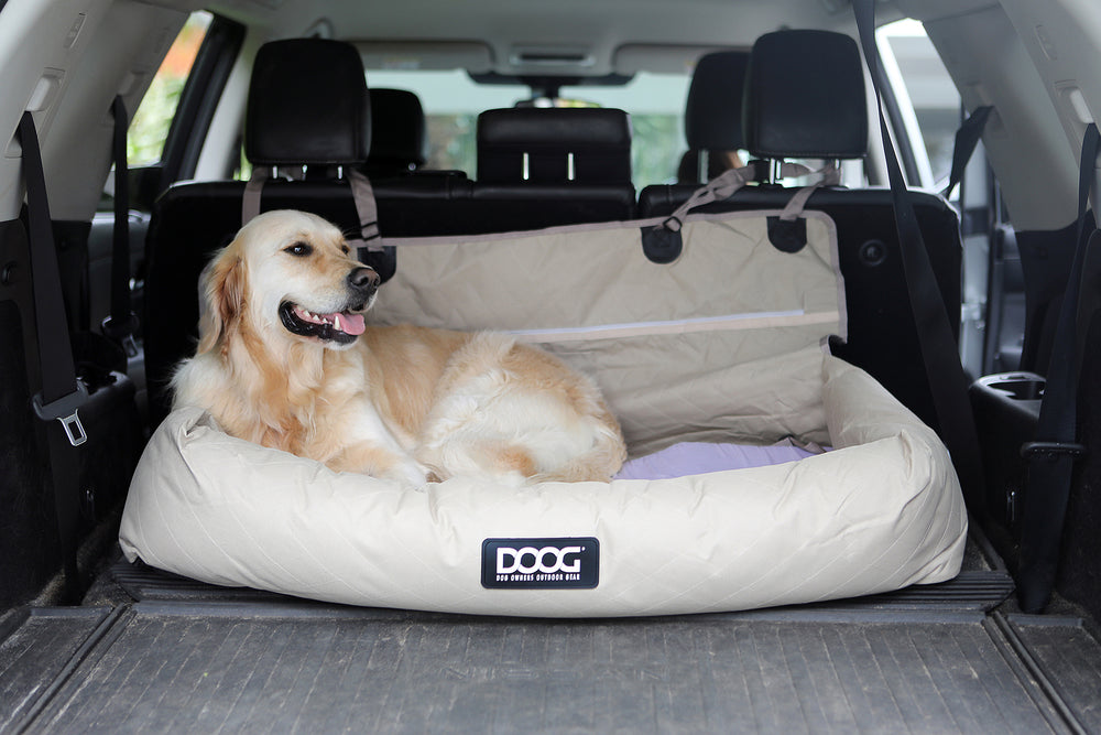 Dog Car Seat - Large