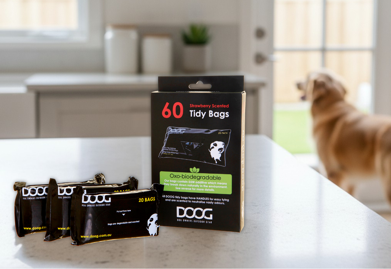 Box of DOG Tidy Bags on a kitchen counter with a dog in the background