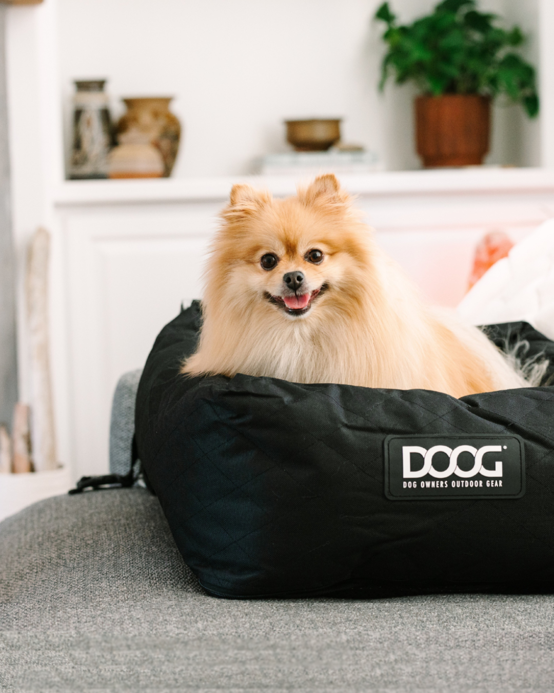 DOOG Official Site - Dog Owners Outdoor Gear – DOOG (Dog Owners Outdoor ...