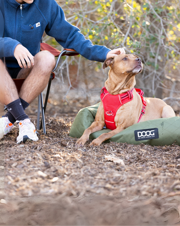 Neotech Harness