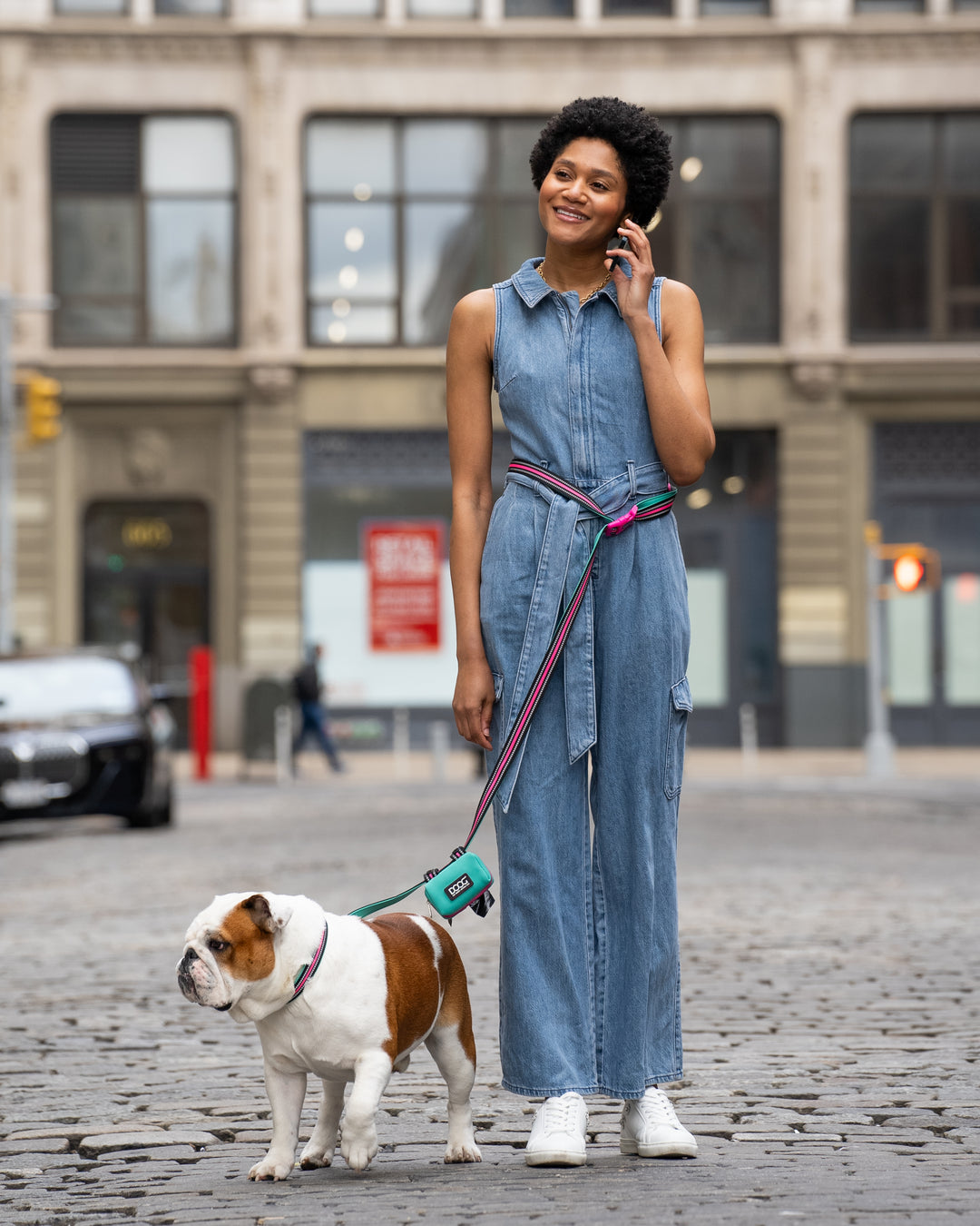 Clip-It Dog Leash