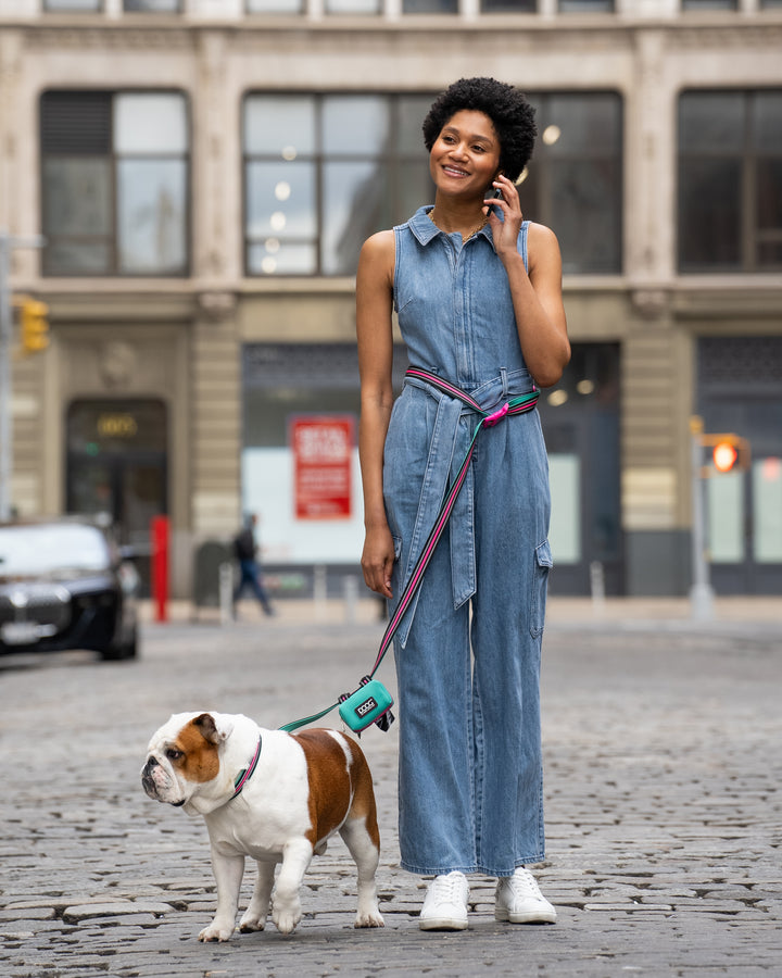 Clip-It Dog Leash