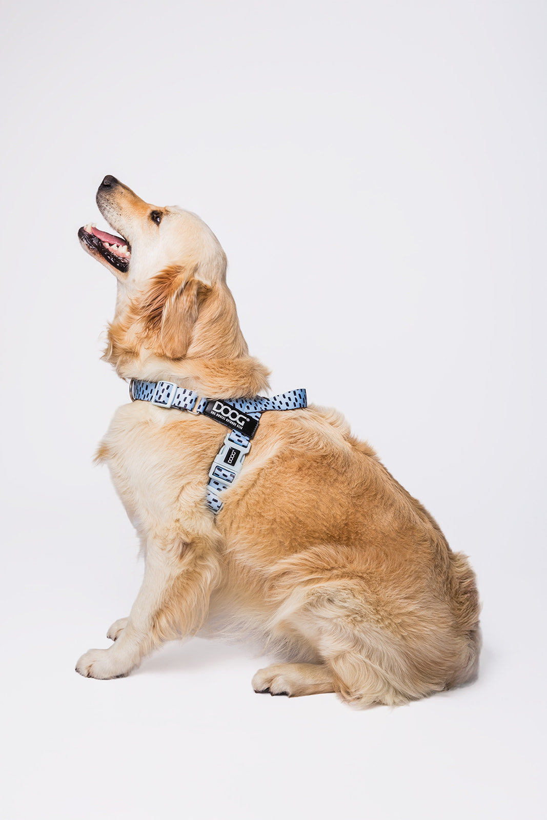 Quick-Clip Harness