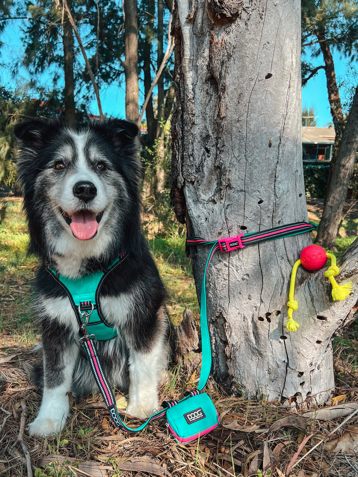 Walkie Pouch