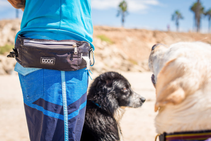 Walkie Belt