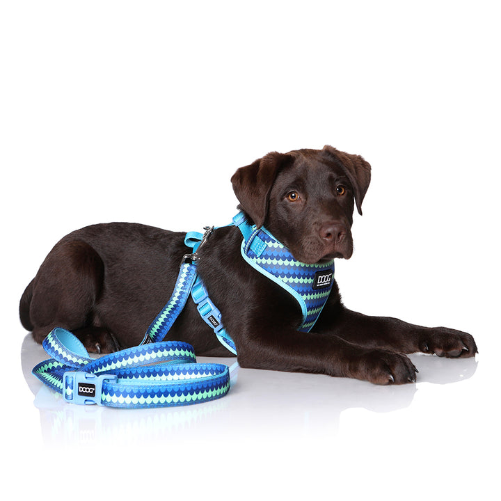 Clip-It Dog Leash