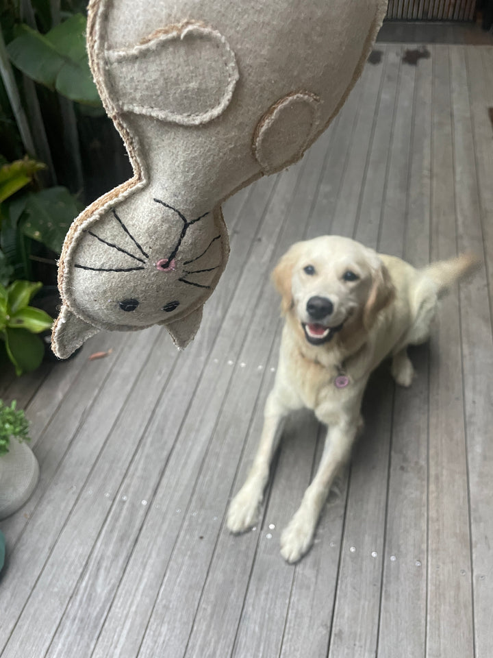 Country Tails Felt Animal Dog Toy