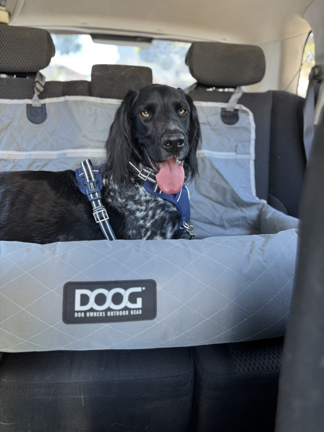 Dog Car Seat - Large