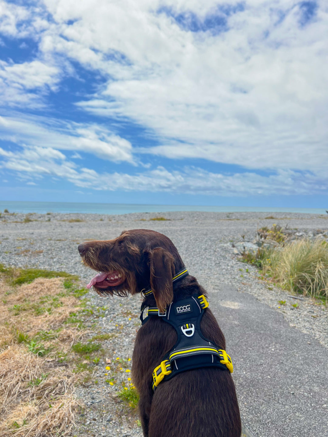 Neotech Harness