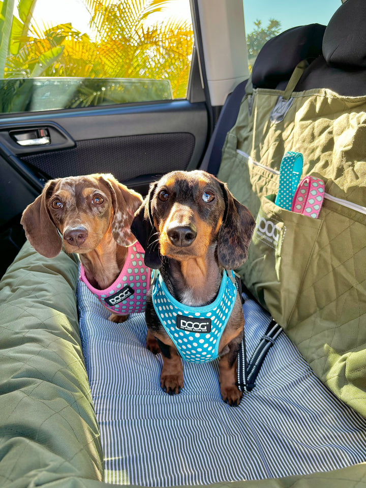 Dog Car Seat - Large