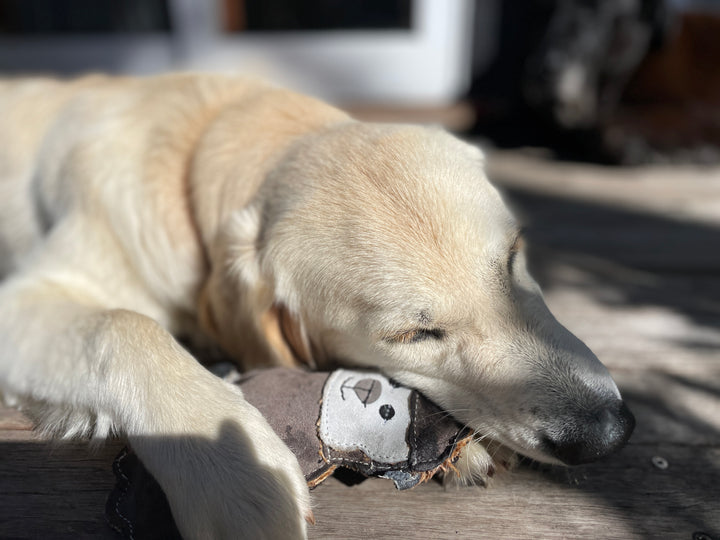 Suede Animal Dog Toy