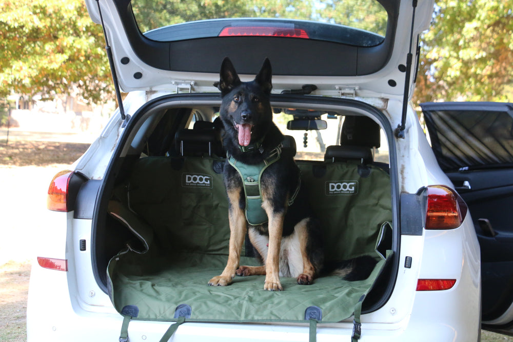 Car Seat Cover
