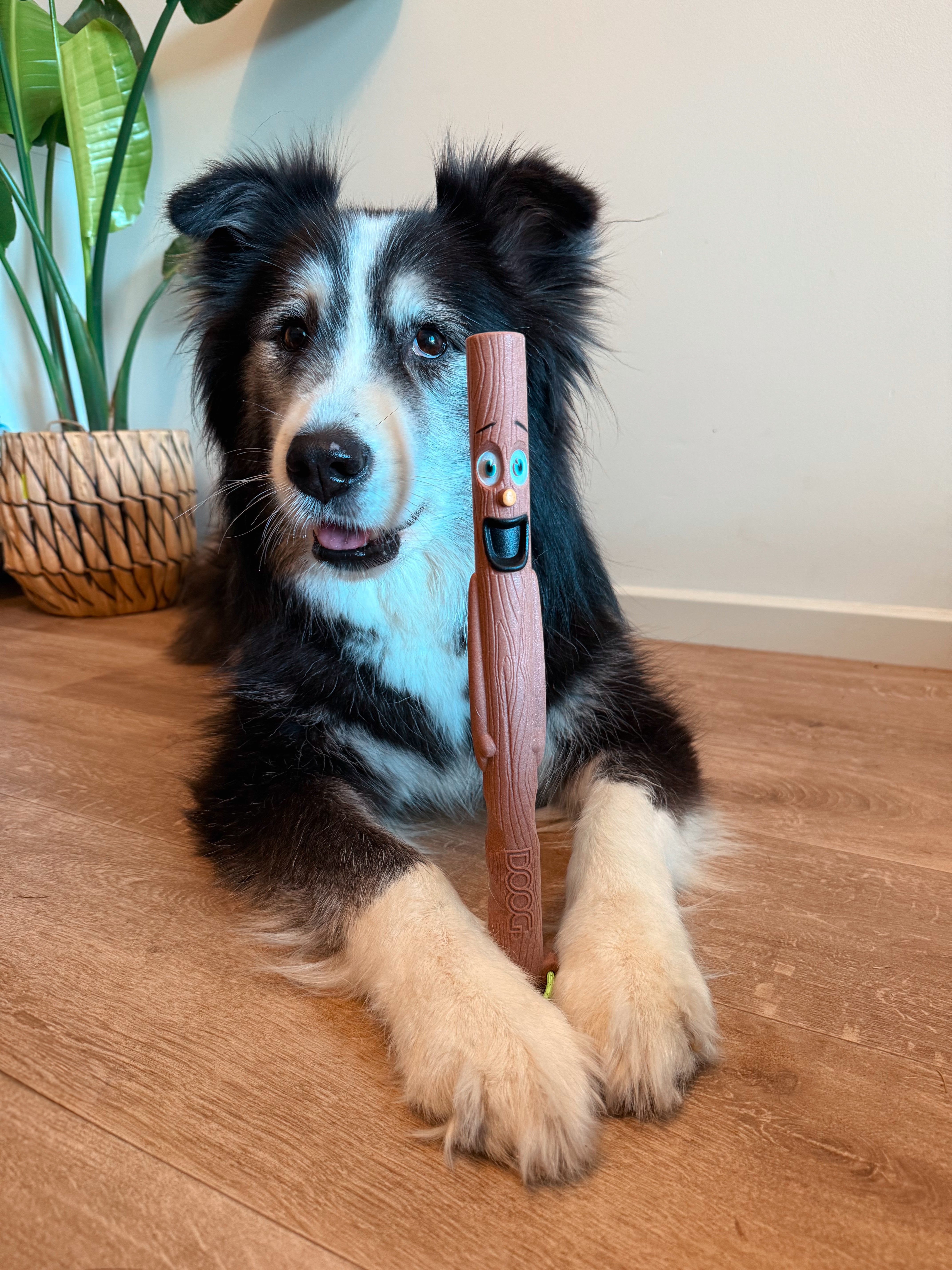 ドーグ (DOOG) DOOG ドーグ スティックファミリーフェッチドッグトイ Twiggy(ピンク)・STICK02　並行輸入品 ドーグ (DOOG) DOOG ドーグ スティックファミリーフェッチドッグトイ Elwood(パープル)・STICK05