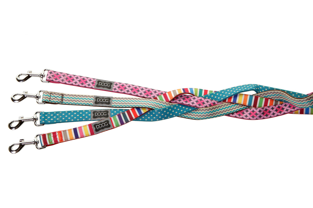 Neoprene Dog Leash