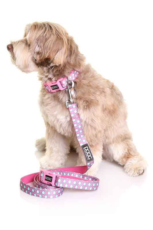 Clip-It Dog Leash