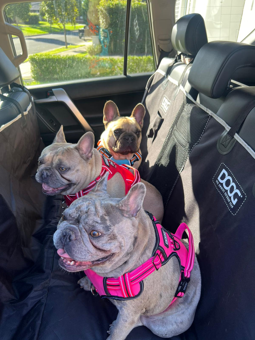 Car Seat Cover