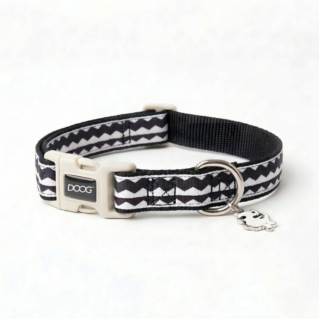 Neoprene Dog Collar