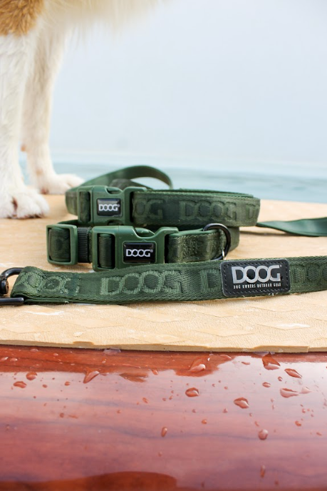 Clip-It Dog Leash