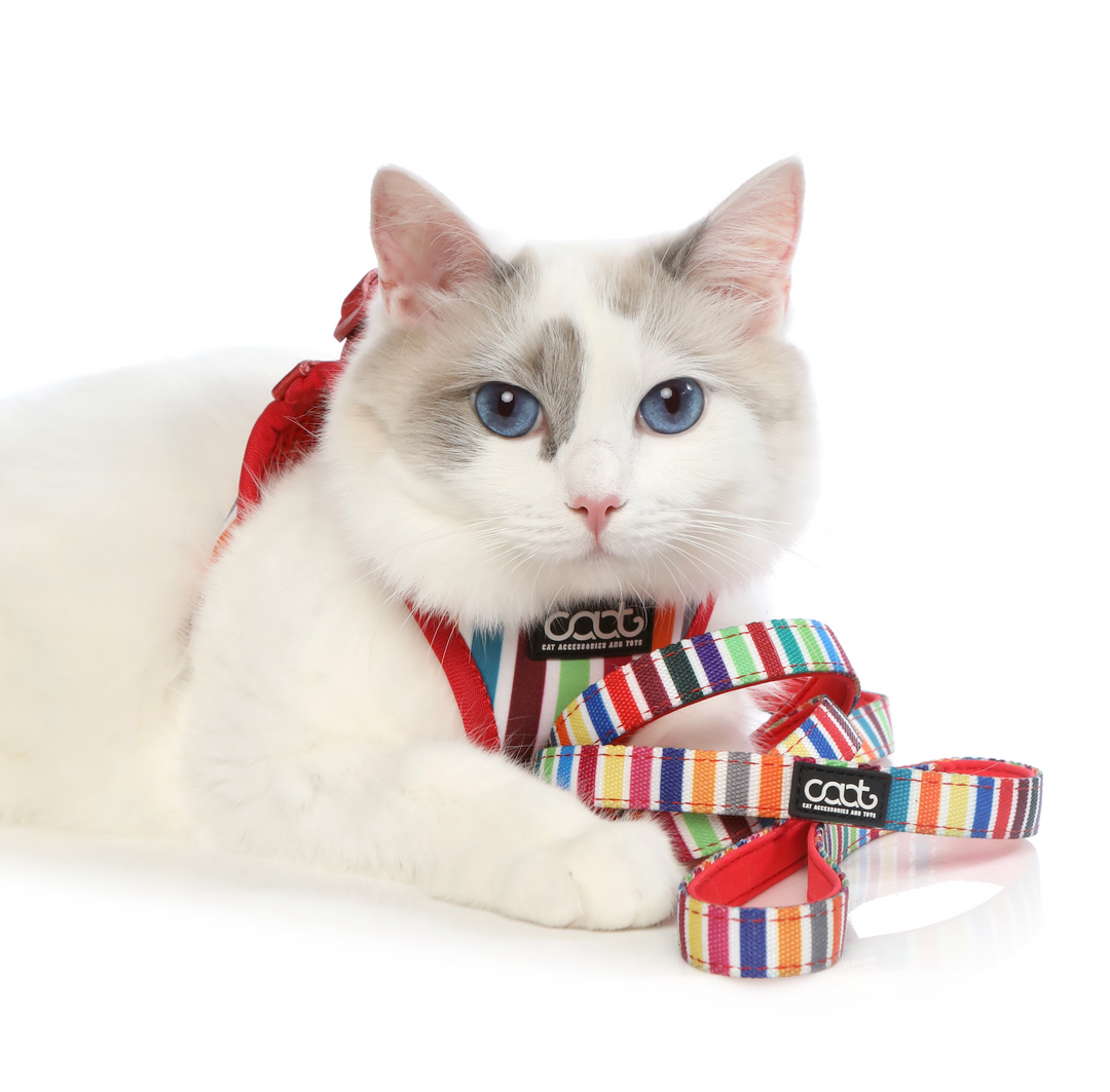 Cat Harness & Leash Combo