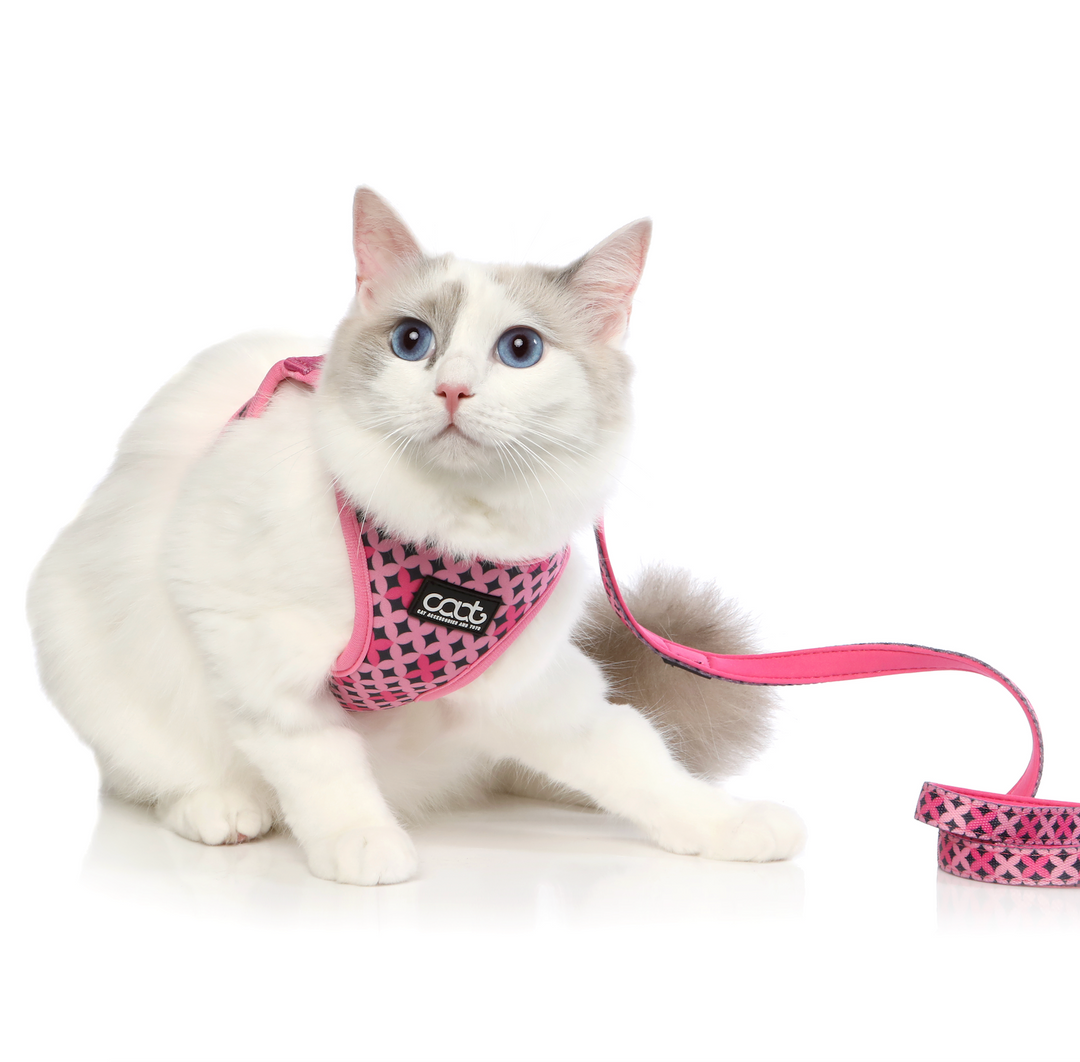 Cat Harness & Leash Combo