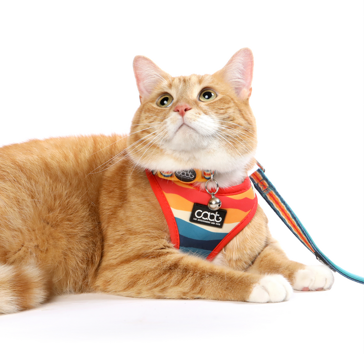 Cat Harness & Leash Combo