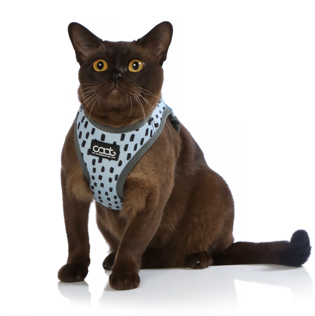 Cat Harness & Leash Combo