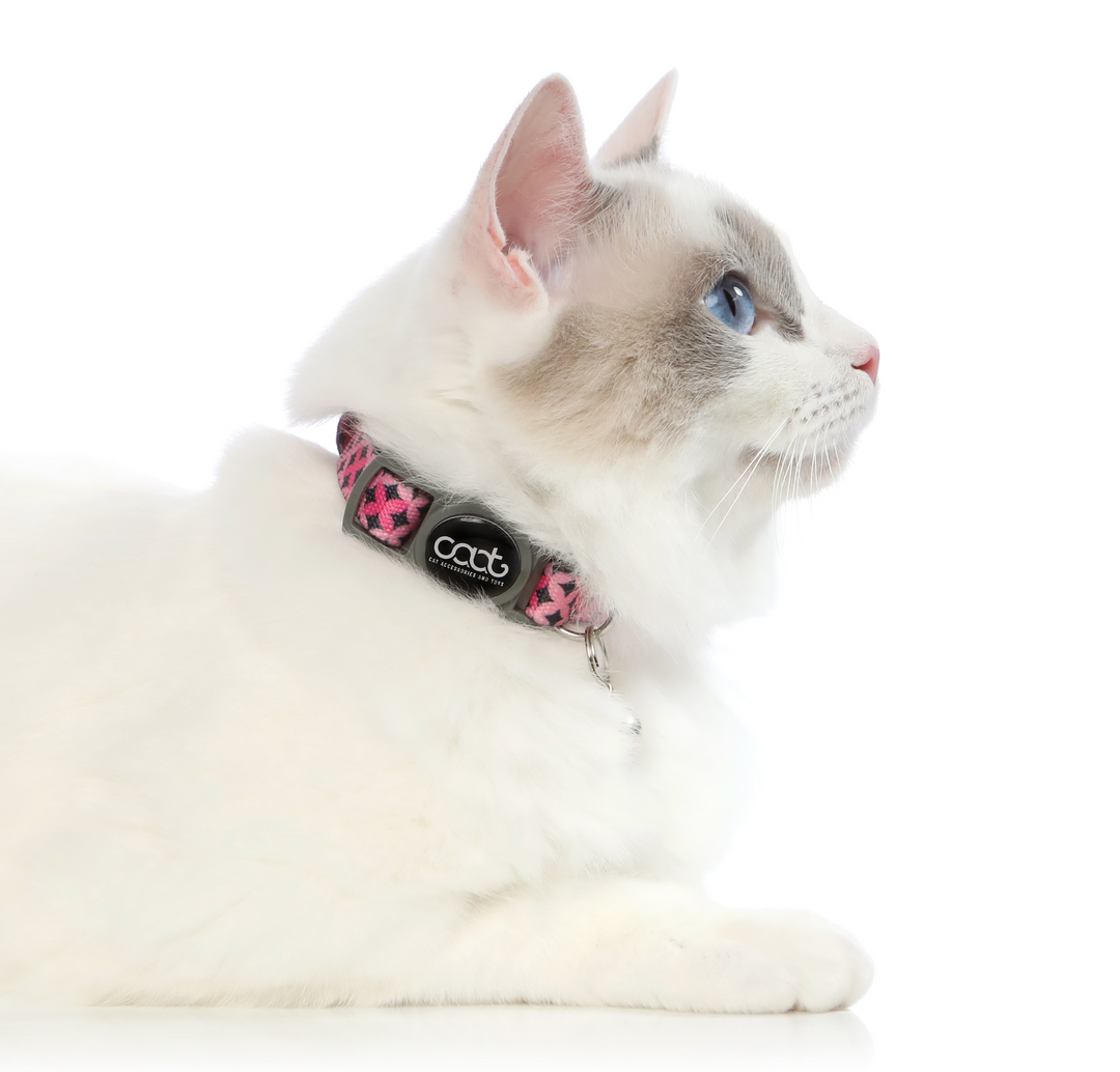 Quick-Release Cat Collar