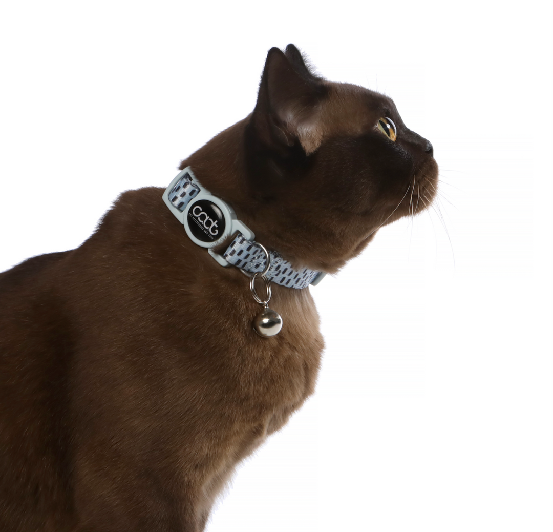 Quick-Release Cat Collar