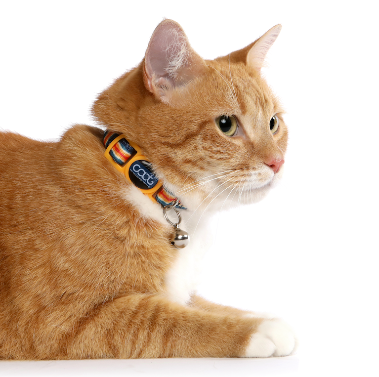Quick-Release Cat Collar
