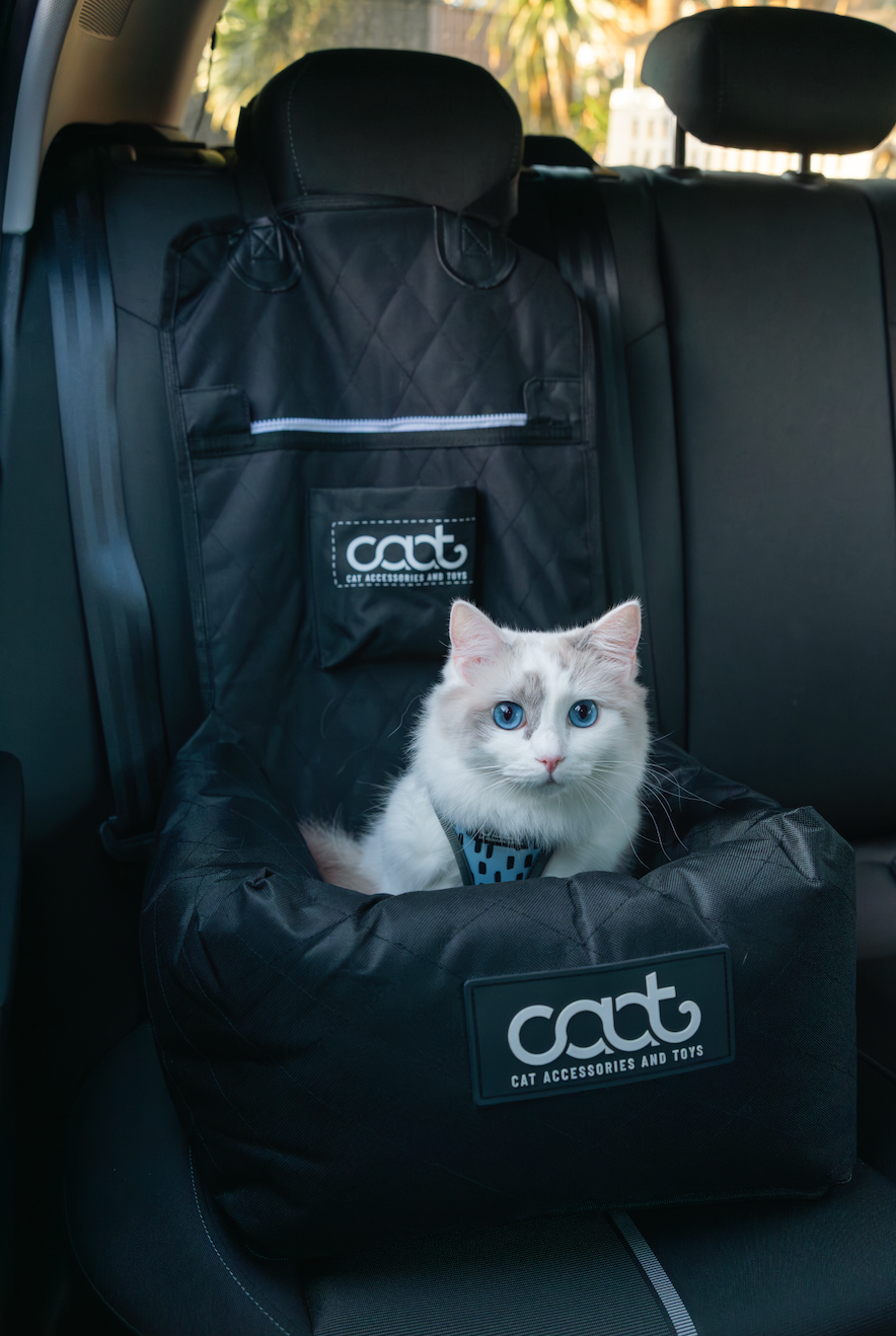 Cat Car Seat