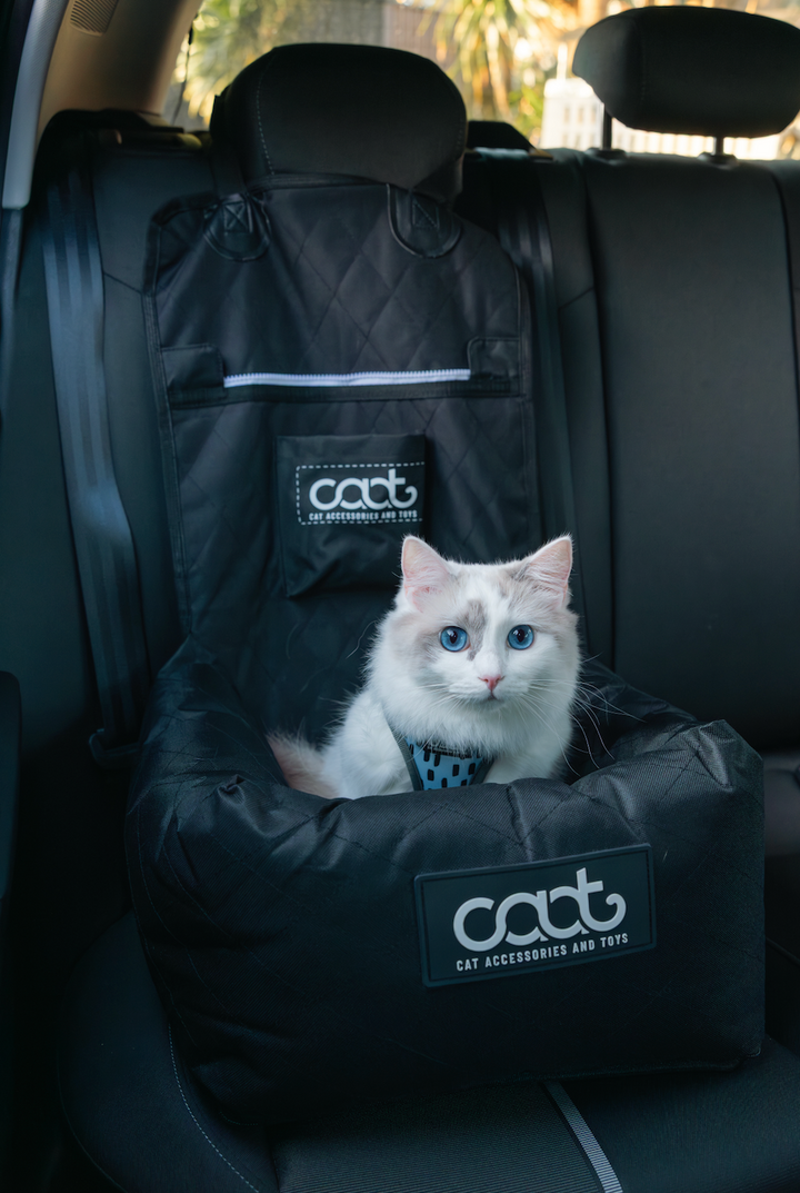 Cat Car Seat