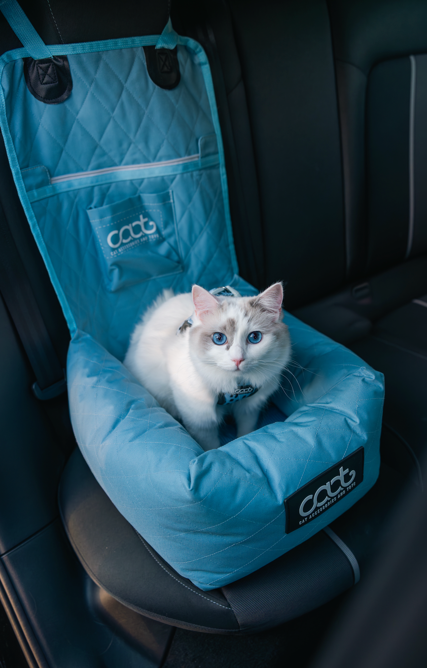 Cat Car Seat