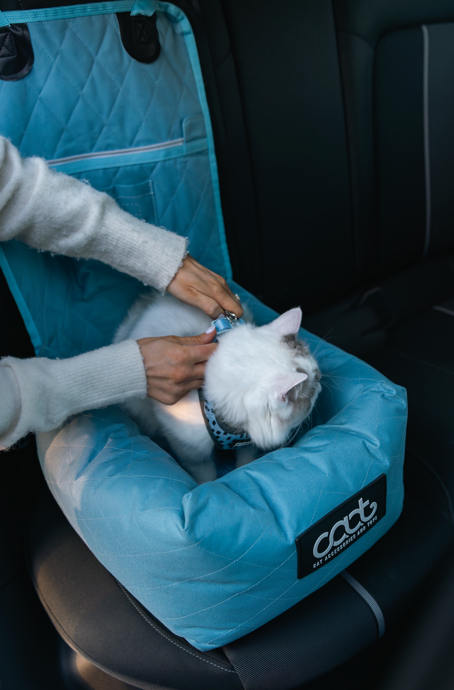 Cat Car Seat