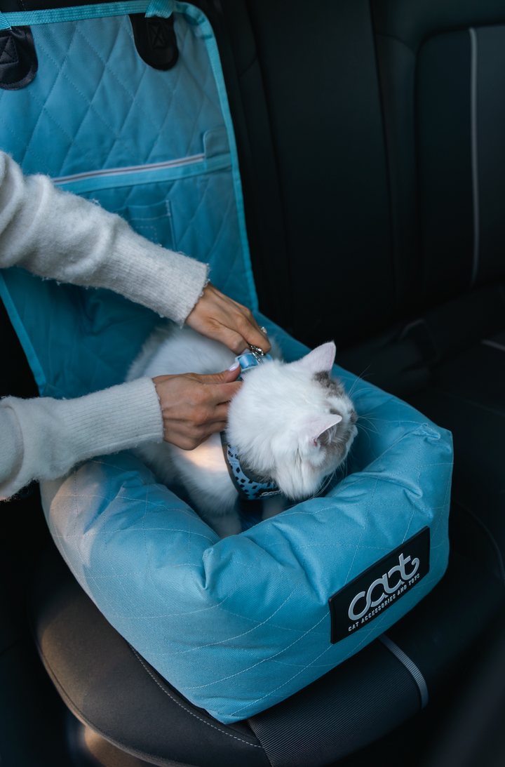 Cat Car Seat
