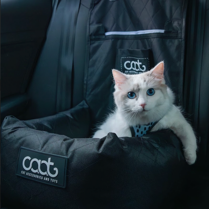 Cat Car Seat