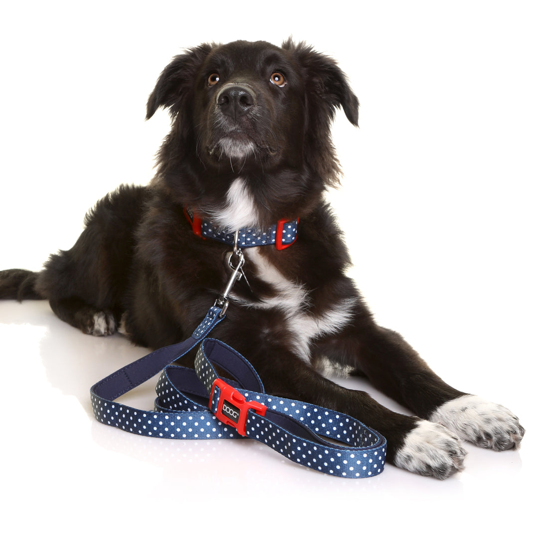 Clip-It Dog Leash