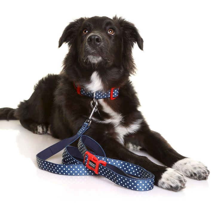 Clip-It Dog Leash