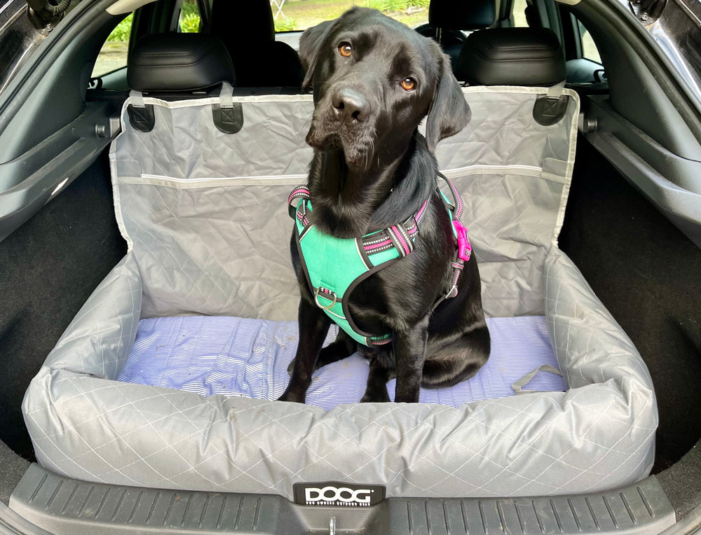 Vip Seating Dogs Road Trip Ready Set – DOOG (Dog Owners Outdoor Gear)