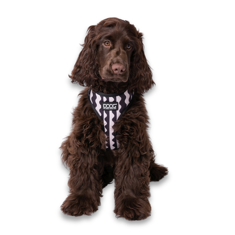 Neoflex Harness